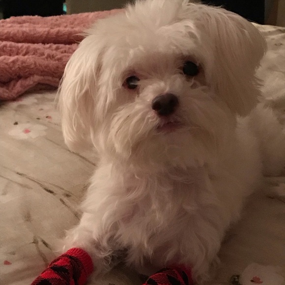 Meet your Posher, Sueann - Picture 1 of 1